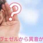 ヴェゼルから異音！発進時のきしみ音やブレーキ踏んだ時の異音の原因